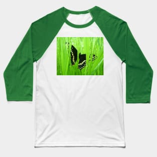 Black Swallowtail Butterfly Baseball T-Shirt